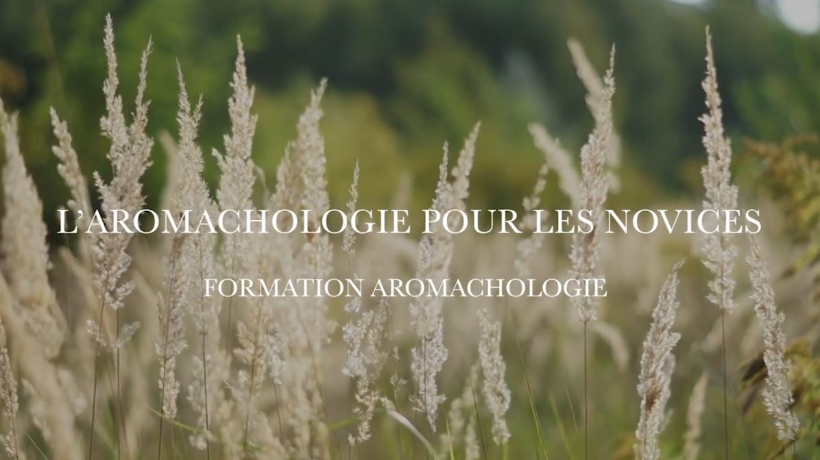 L’aromachologie pour les novices – l’indispensable